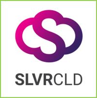 SLVRCLD levert een innovatief platform voor het behandelen van inboedelschades. Ondersteuning bij G2Market en business development.